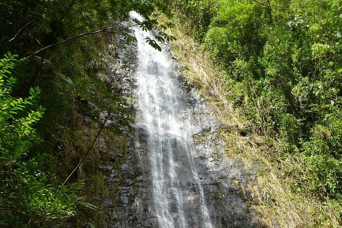 Diamond Head and Manoa Falls Hike and Adventure Tour - Two hikes, two sides of Honolulu