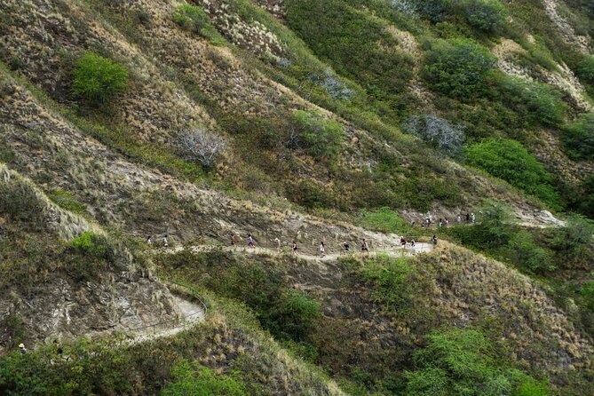 Diamond Head and Manoa Falls Hike and Adventure Tour - What private touring means here