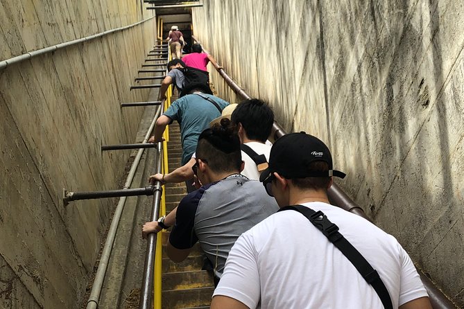 Diamond Head Bike to Hike and Local Lunch - The guide and group experience