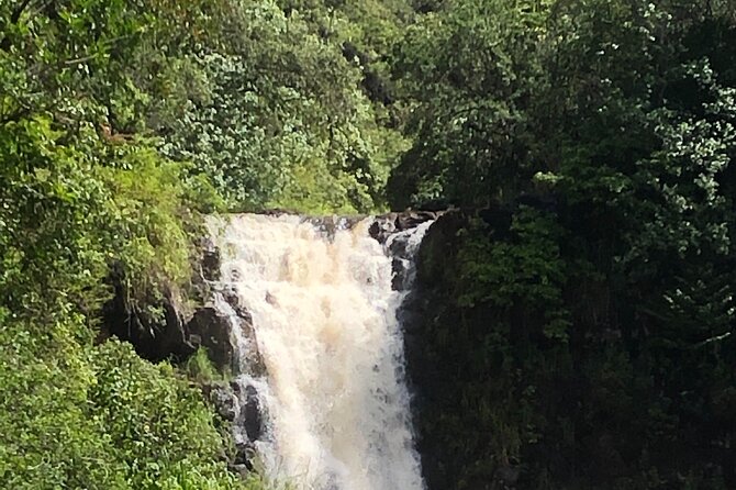 Diamond head crater trail , Sightseeing & South Side beach day - Is $150 a fair price?