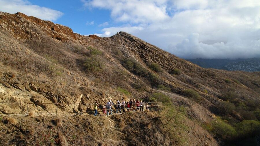 Diamond Head Manoa Falls - Should you book Diamond Head and Manoa Falls?