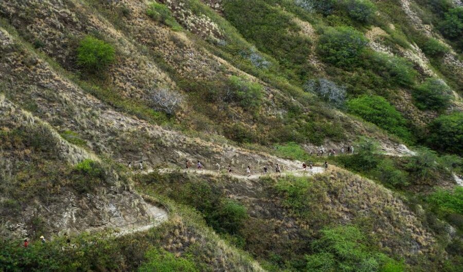 Diamond Head Manoa Falls - Private touring gives you room to adjust the day