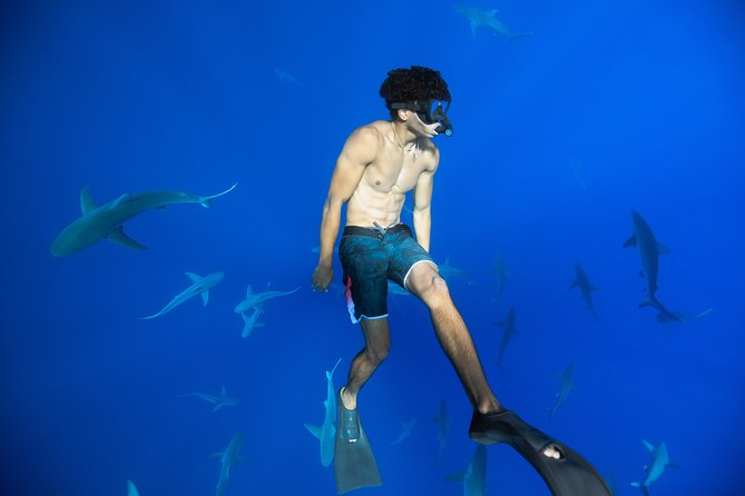 Dive with Sharks in Hawaii: Shark Tour from Haleiwa - Leaving Haleiwa Harbor for the North Shore
