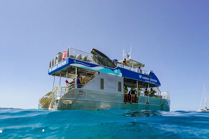 Dolphin Watch Cruise with Waterslide & Snorkeling on Oahu - Why this Oahu cruise is more than a dolphin search