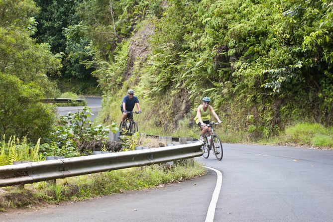 Downhill Bike and Ko'olau Waterfall Hike Tour - Key points to know before booking