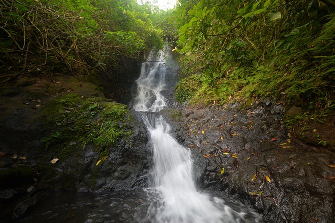 Downhill Bike and Ko'olau Waterfall Hike Tour - The Koʻolau Waterfall hike