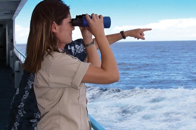 Early Bird Whale Watching Cruise from Waikiki - Four decks give you room to find a good view