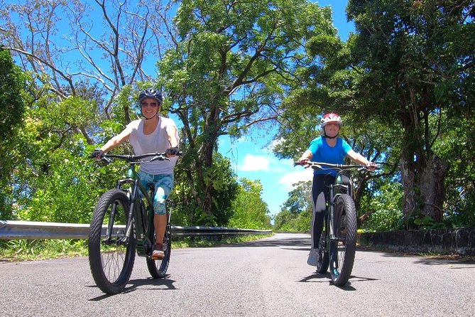 eBike Tour Honolulu Rainforest - Views above Waikiki and Honolulu
