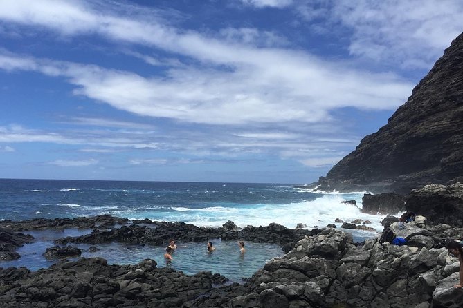 Eco-adventure friendly Aloha Island Tour - Macadamia trees and a country-style final stop