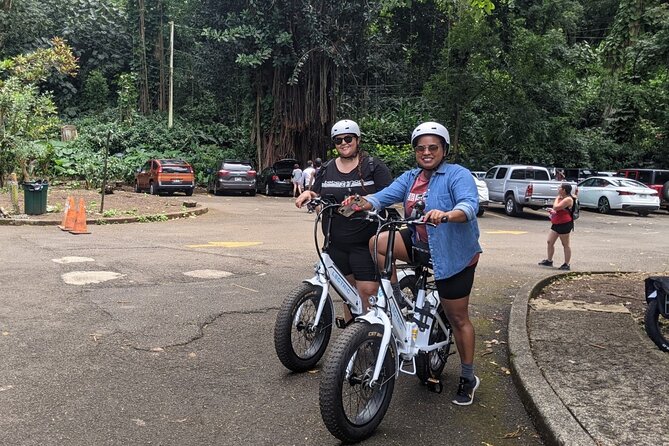 Electric Bike Ride & Manoa Falls Hike Tour - Is $199 a fair price?