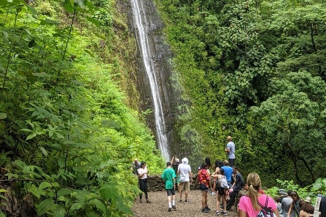 Electric Bike Ride & Manoa Falls Hike Tour - Who will enjoy this Oahu tour?