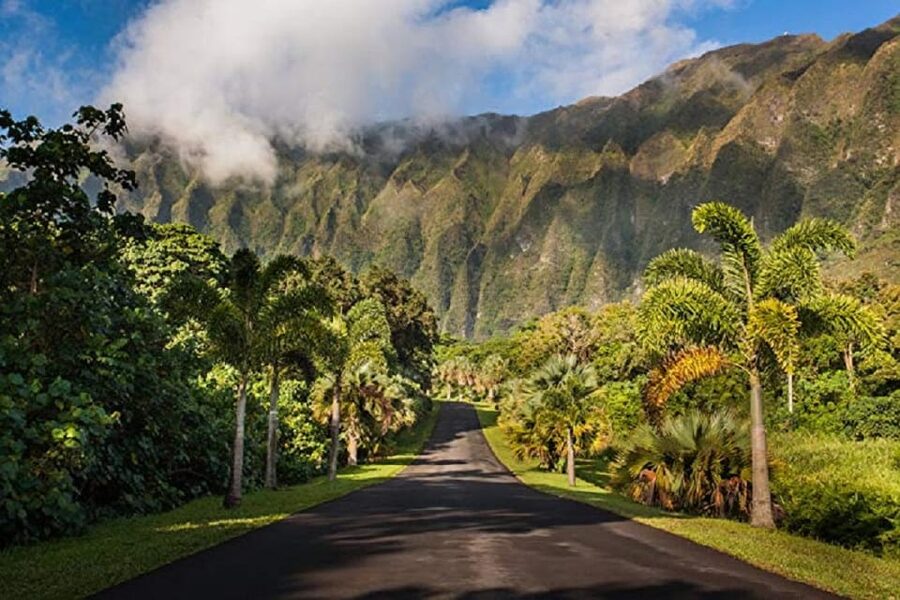 Explore Oahu in a Polaris Slingshot - What the Slingshot feels like on the road