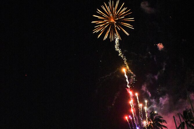 Fireworks Waikiki Gondola Cruise -lots of fun- - Who will enjoy this most?