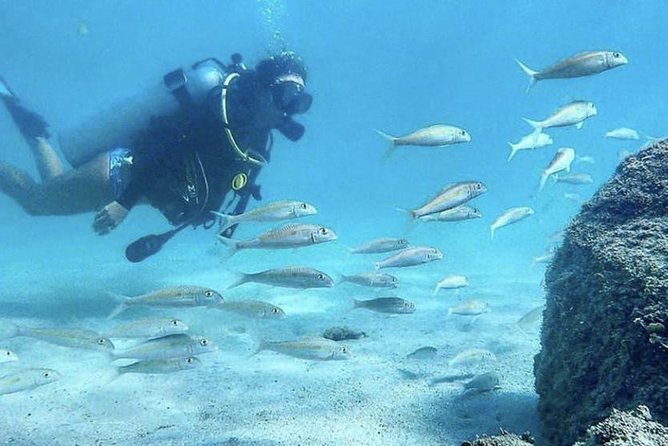 First-Time Scuba Diving in Honolulu + Free Videos - A gentle first step into scuba at Magic Island