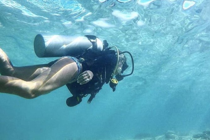 First-Time Scuba Diving in Honolulu + Free Videos - Marine life and the limits of a short session