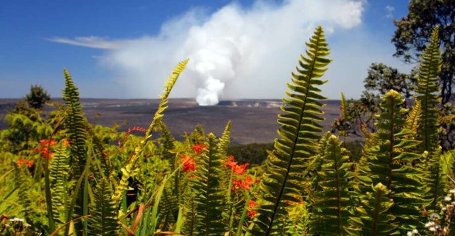 From Oahu: Big Island Volcano Adventure - Key points at a glance