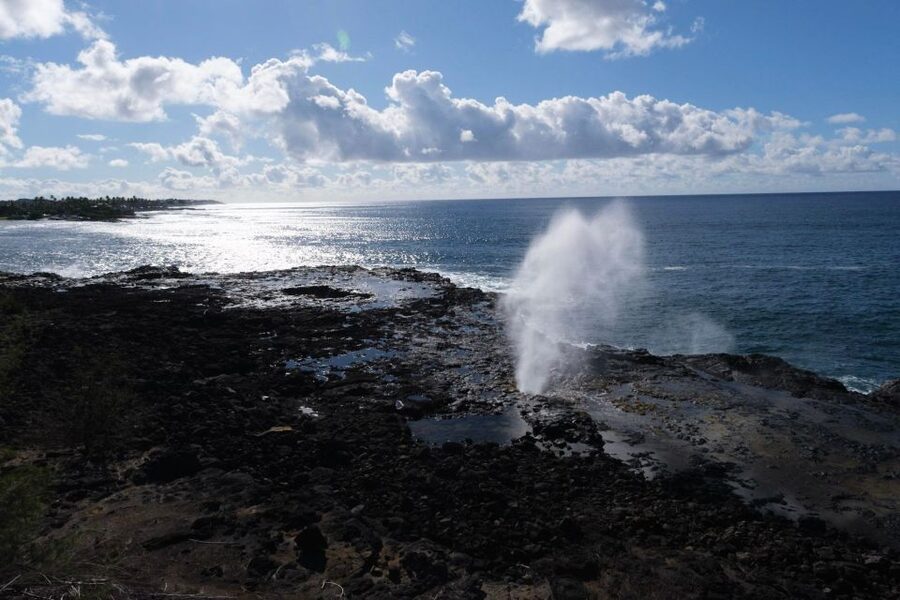 From Oahu: Kauai Waimea Canyon & Wailua River Tour - Key points to know before booking