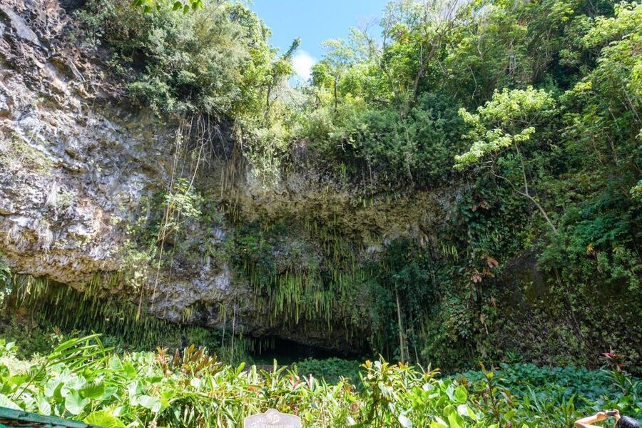 From Oahu: Kauai Waimea Canyon & Wailua River Tour - What the $575 price really covers
