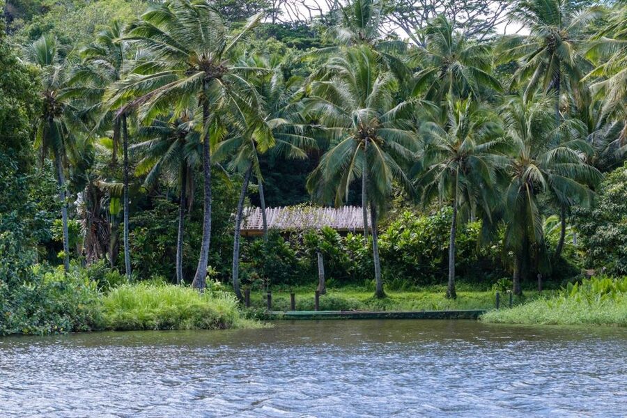 From Oahu: Kauai Waimea Canyon & Wailua River Tour - Who will enjoy this tour most