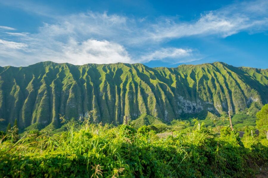 From Waikiki: Best of Oahu Photo Tour with Pickup - Makapuʻu Point and the colorful east coast