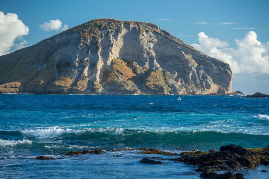 From Waikiki: Best of Oahu Photo Tour with Pickup - Leonard’s malasada and the ride back to Waikiki