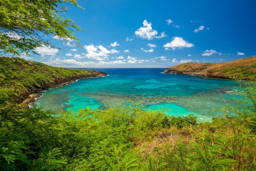 From Waikiki: Best of Oahu Photo Tour with Pickup - How much photography help will you receive?
