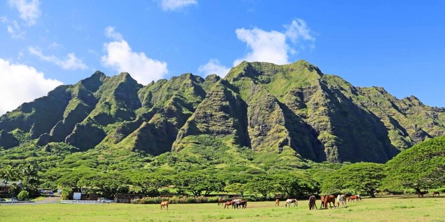 From Waikiki: Circle Island Tour - From Waikiki to the island’s eastern coast