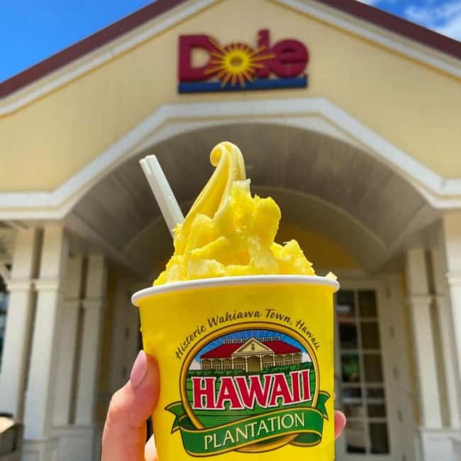 From Waikiki: Oahu Circle Island Tour - Key points to know before booking