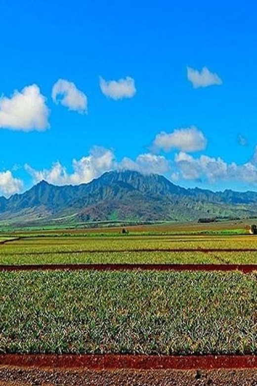 From Waikiki: Oahu Grand Circle Island Experience - Puaʻena Point, the main active stop