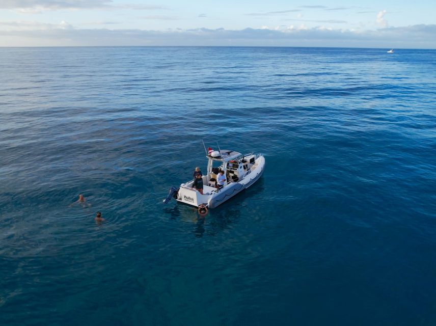 From Waikiki: Turtle Canyon Snorkeling Tour - The boat, equipment, and drinks