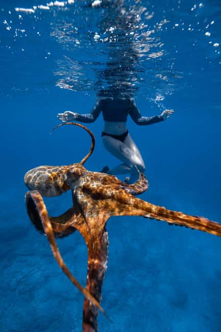 From Waikiki: Turtle Canyon Snorkeling Tour - Is $81 a fair price?