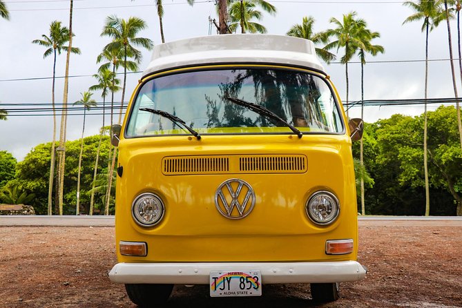 Full-Day Guided Private Tour - Green World Coffee Farms starts the day on a mellow note