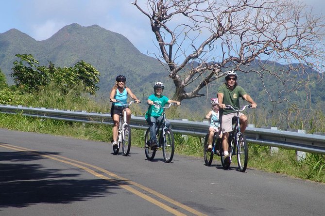 Full Day Oahu Bike, Hike, Sail and Snorkel Combo - Hiking through 75 acres of sacred rainforest