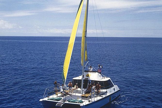 Full Day Oahu Bike, Hike, Sail and Snorkel Combo - Snorkeling above Pacific reef