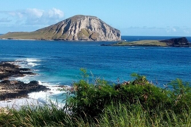 Full Day Oahu Tour with Byodo Temple & Waimea Waterfalls - Tropical Farms and Dole Plantation