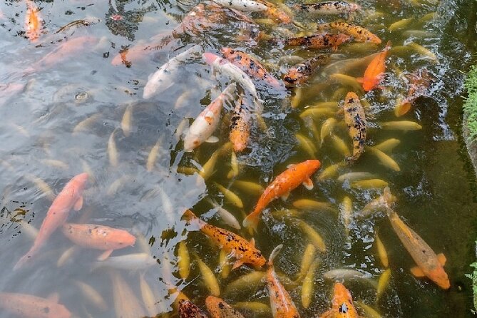 Full Day Oahu Tour with Byodo Temple & Waimea Waterfalls - Timing, comfort, and group size