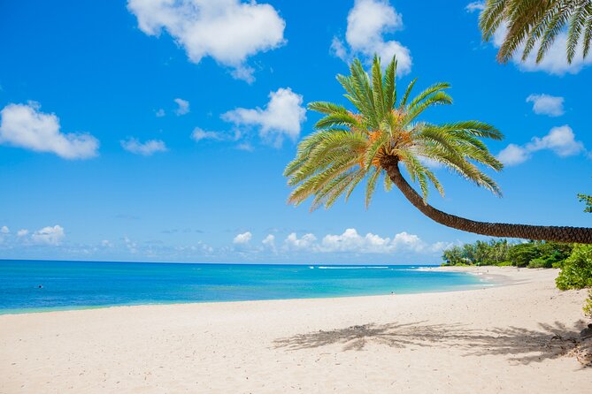 Grand Circle Island Tour - Tropical Farms and the taste of macadamia country