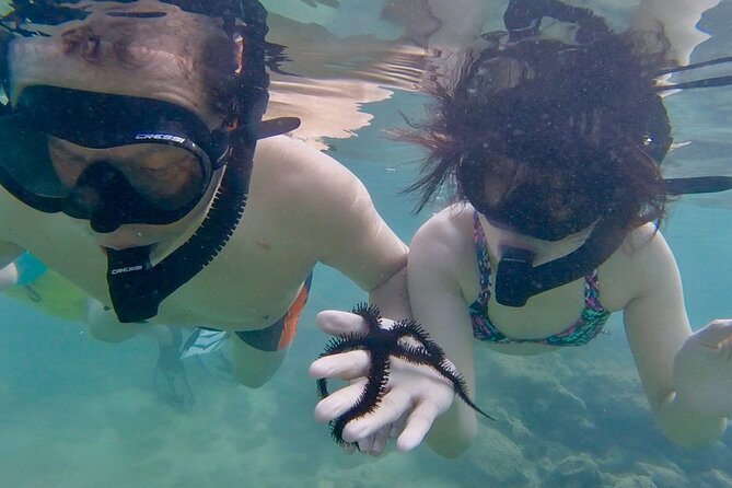 Guided Snorkel Tour for Beginners in Honolulu - Who should book this Honolulu snorkel lesson