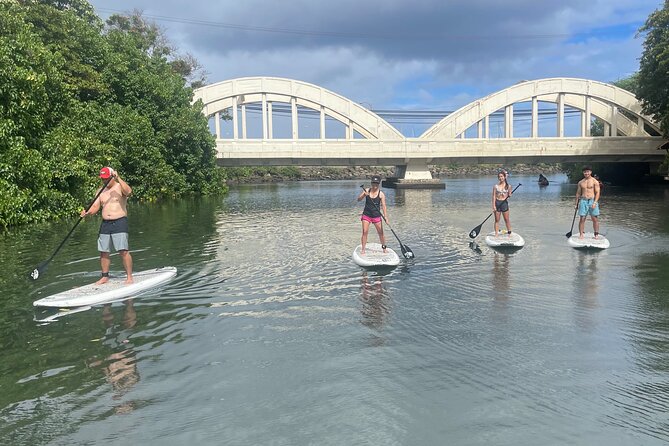 Haleiwa River Paddle Board Rental with Blue Planet Adventure Co. - The best time to paddle
