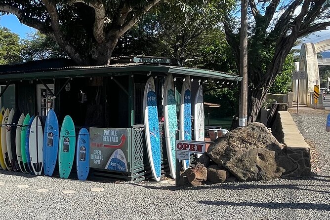 Haleiwa River Paddle Board Rental with Blue Planet Adventure Co. - Who will enjoy this Haleiwa rental