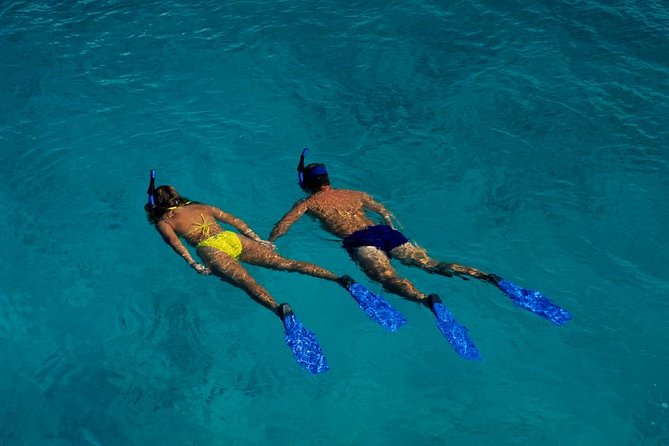 Half Day Oahu Combo Adventure: Bike, Sail and Snorkel - The five-mile ride through Tantalus forest