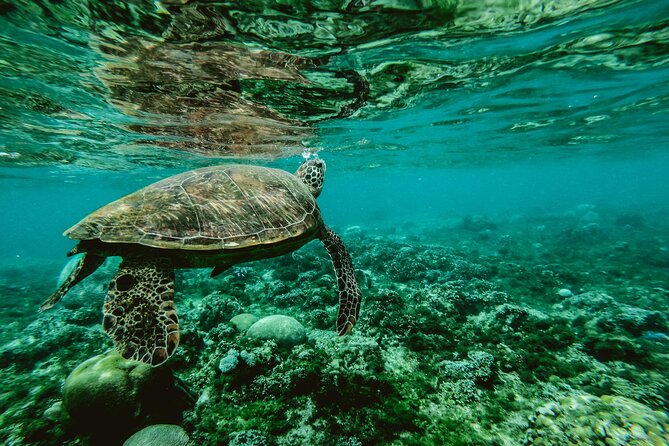 Hanauma Bay Snorkel - Entering Hanauma Bay and watching the video