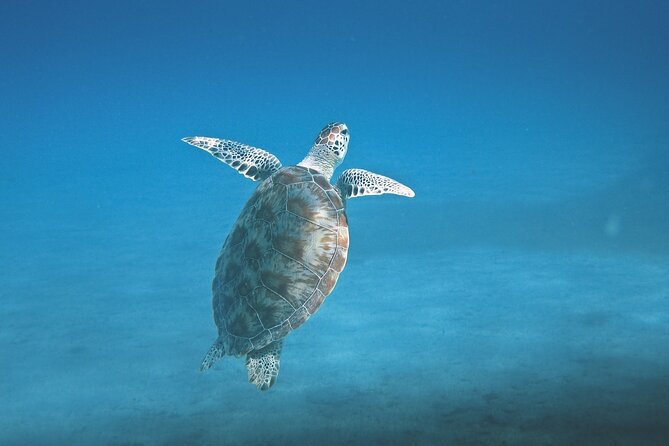 Hanauma Bay Snorkel - Weather, cancellations, and planning your day