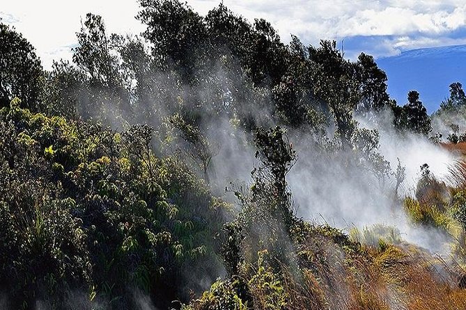 Hawaii Volcanoes National Park Experience from Oahu - The Long Ride Is Part of the Deal