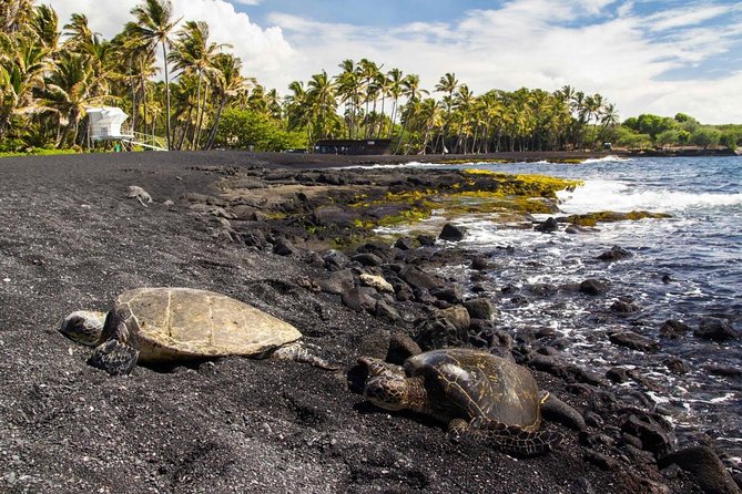 Hawaii Volcanoes National Park Experience From the Big Island - Key points to know before booking