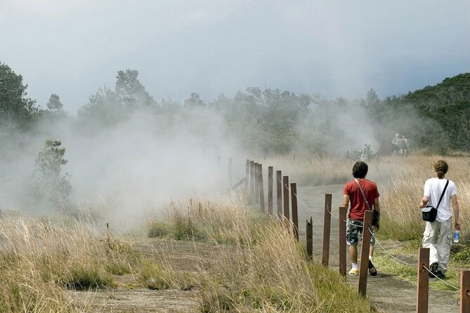 Hawaii Volcanoes National Park Experience From the Big Island - Manuka State Wayside Park and native forest