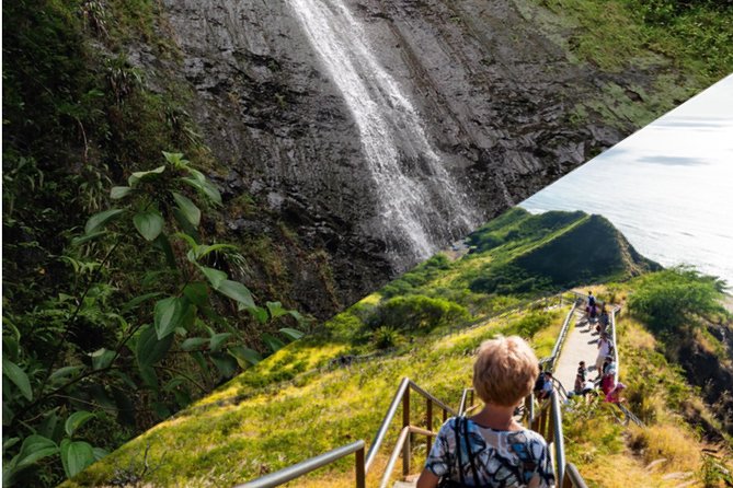 Hawaiian Beauty Package - Manoa Falls: rainforest shade, slippery ground