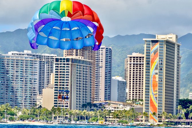 Hawaiian Parasail Since 1977 - Wildlife watching during the return ride