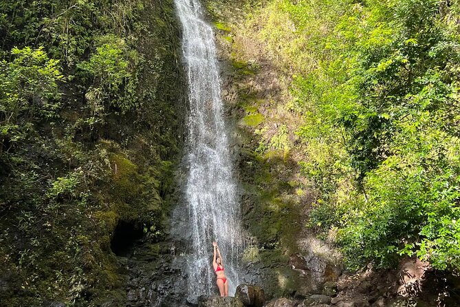 Hike to a Tropical Waterfall - pick up included - What happens on the three-hour outing
