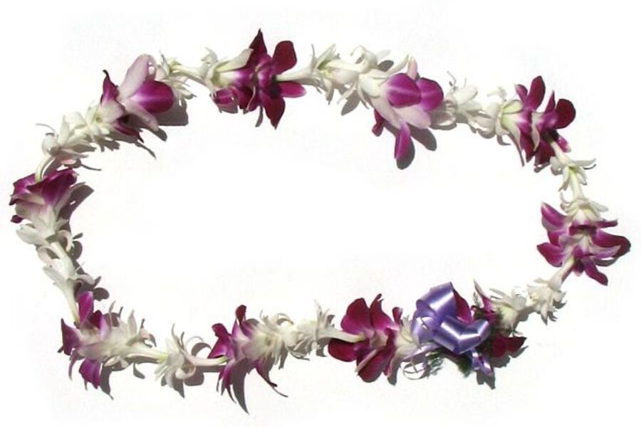 Honolulu Airport Custom Lei Greeting - Choose Your Lei - The lei choice makes this more personal